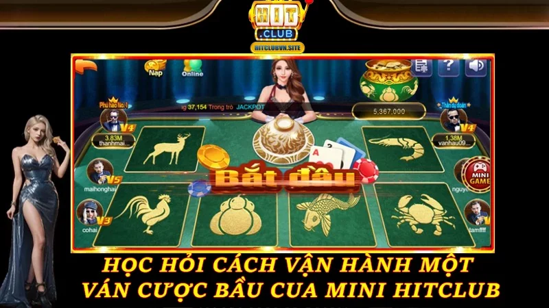 Học hỏi cách vận hành một ván cược Bầu Cua Mini Hitclub Học hỏi cách vận hành một ván cược Bầu Cua Mini Hitclub
